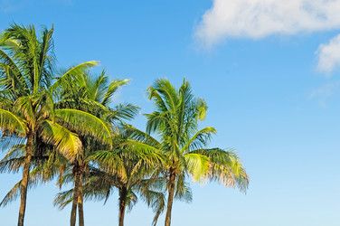 Similar image 706037