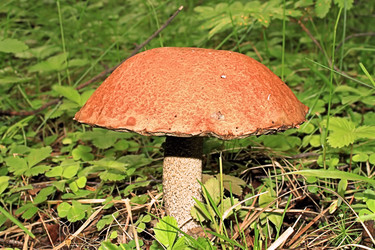 Similar image 706088