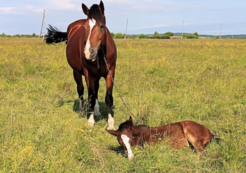 Similar image 706091