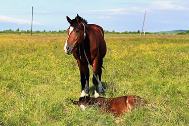 Similar image 706092