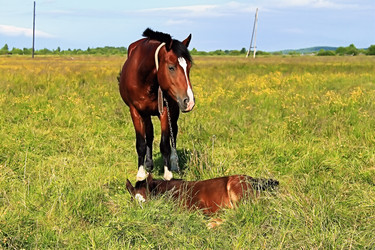 Similar image 706093