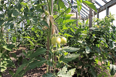 Similar image 706094