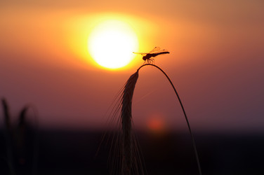 Similar image 706105