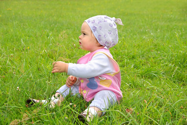 Similar image 706106