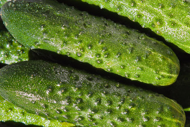 Similar image 706129