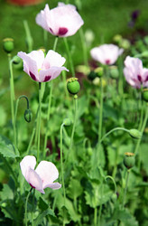 Similar image 706153