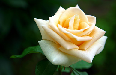 Similar image 706157