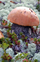 Similar image 706190