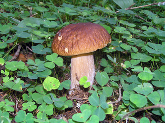 Similar image 706191