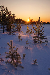 Similar image 706198