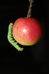 Similar image 706199