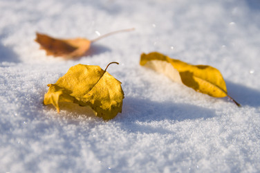 Similar image 706200