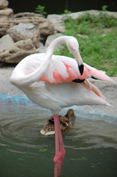 Similar image 706201