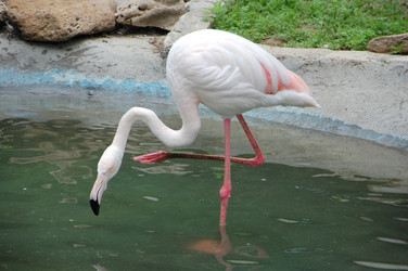 Similar image 706203