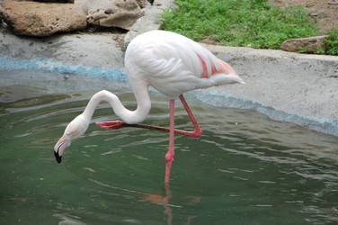 Similar image 706204