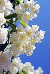 Similar image 706205