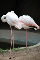 Similar image 706207