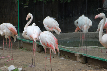 Similar image 706210