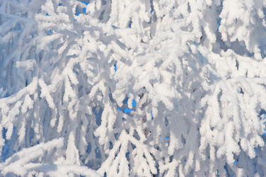 Similar image 706215