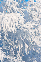 Similar image 706216