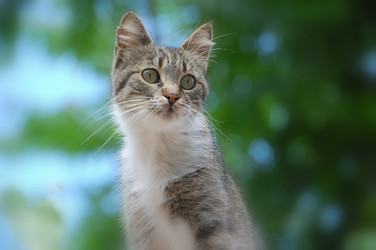 Similar image 706217