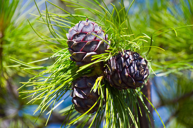 Similar image 706218