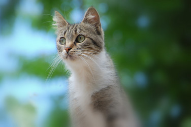 Similar image 706219