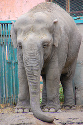 Similar image 706221