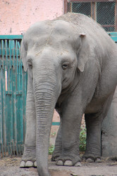 Similar image 706222