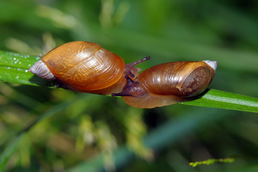 Similar image 706235