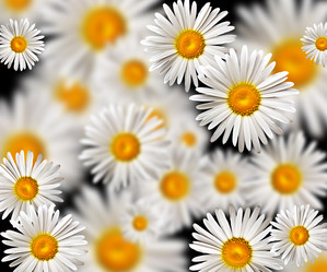 Similar image 706241