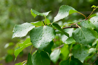 Similar image 706242