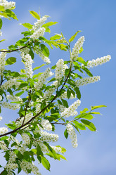 Similar image 706243