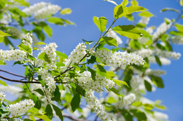 Similar image 706244