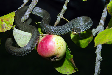 Similar image 706251