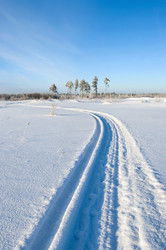 Similar image 706253