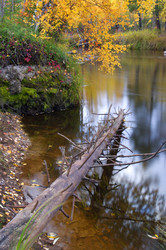 Similar image 706254