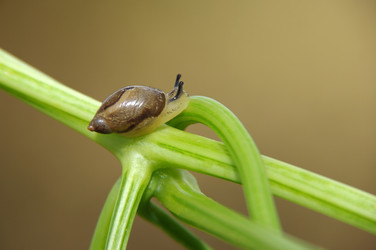 Similar image 706255