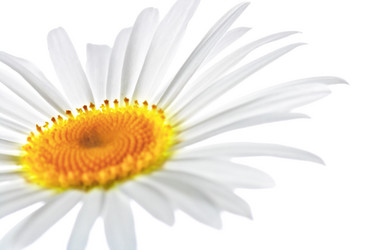 Similar image 706333