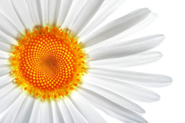 Similar image 706335