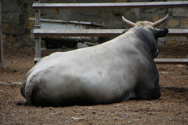 Similar image 706457