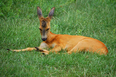 Similar image 706458