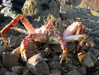 Similar image 706459