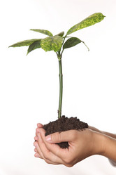 Similar image 706477