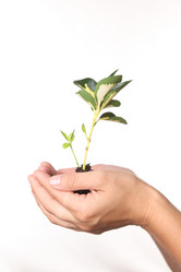 Similar image 706478