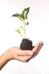 Similar image 706481