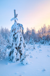 Similar image 706501