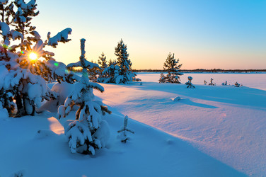 Similar image 706503