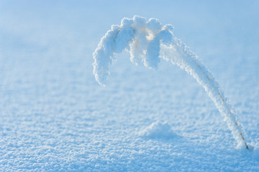 Similar image 706509