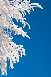 Similar image 706510